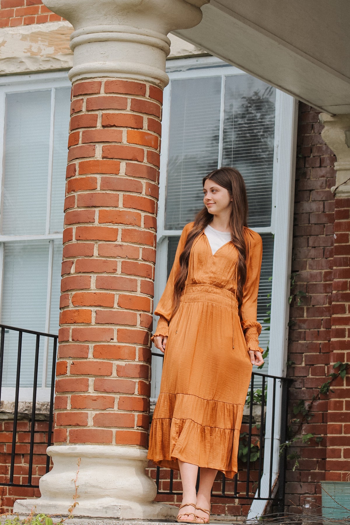 The Avonleigh- Rust Silk Dress